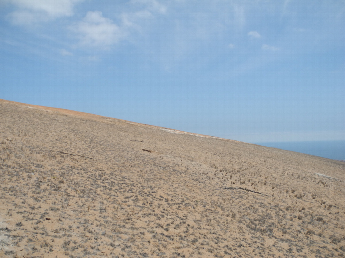 View to the south