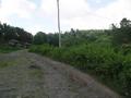 #3: View to the North; dirt road/trail beyond the paved road to Barangay Baluno.