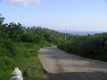 #5: View to the South; end of the paved road looking towards the sea.