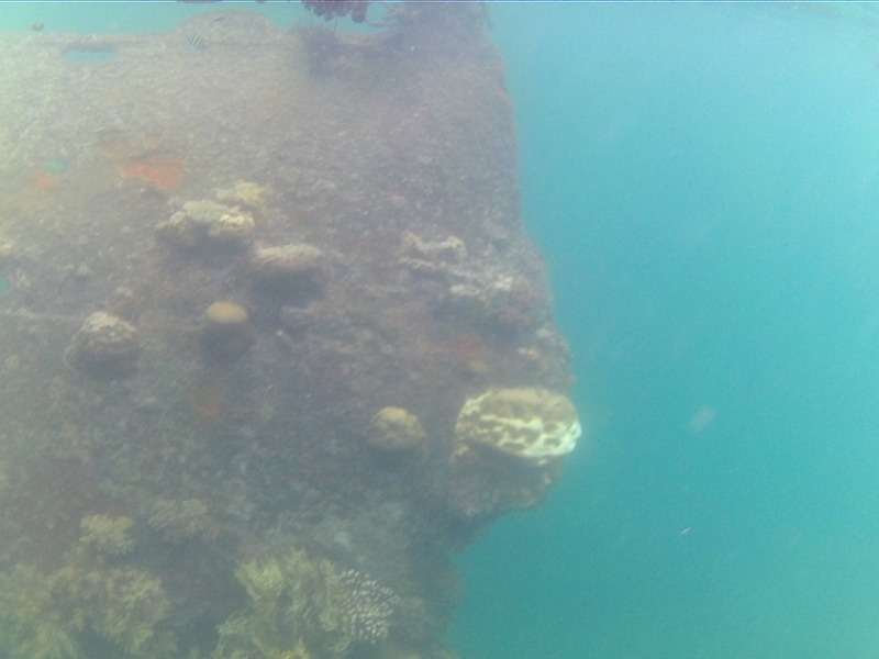 Lusong Wreck very near the confluence