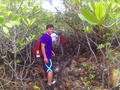#8: Mangrove forest near confluence site