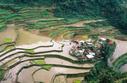 #7: Nearby Ifugao rice terraces.