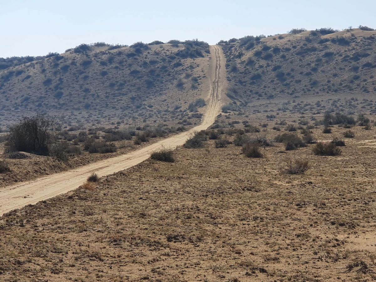 Desert track