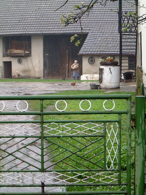 The confluence of N50 E019 is just behind the barn door (i.e. behind grandma in the picture) at number 99 Zlote Lany, in the village of Jankowice, Poland.