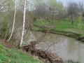 #7: river flowing 2 meters from the confluence