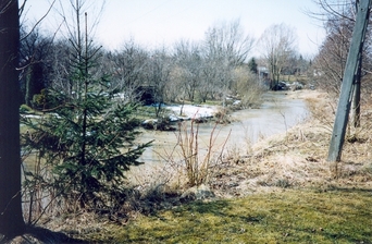 #1: General view of the confluence (towards SW)