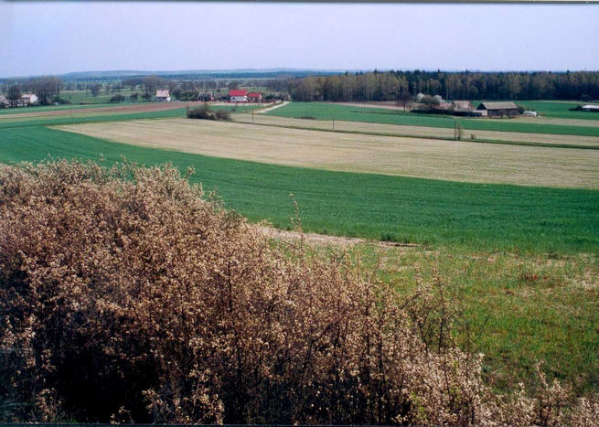 View towards Kajetanow, with hills and forrest behind