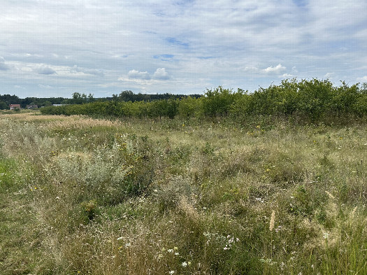 #1: The Confluence from 20m Distance