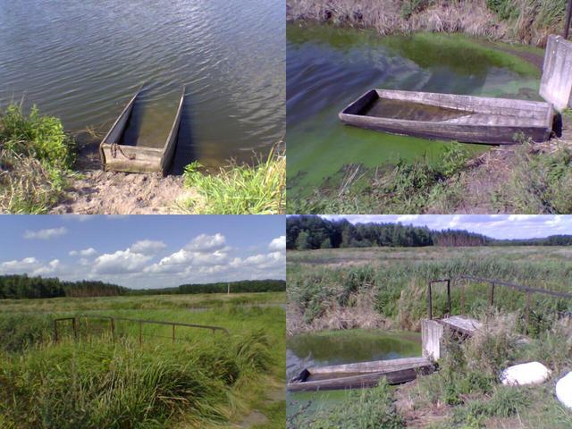 Fish ponds and sunken boats