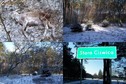 #8: Dead roe deer, nearby glade and the village of Stara Ciświca