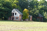 #11: Budynki opuszczonego gospodarstwa widocne na polanie / Buildings of an abandoned farm visible in the clearing