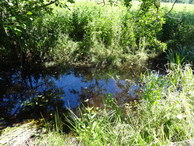 #7: Ditch (or stream) / Канава с водой