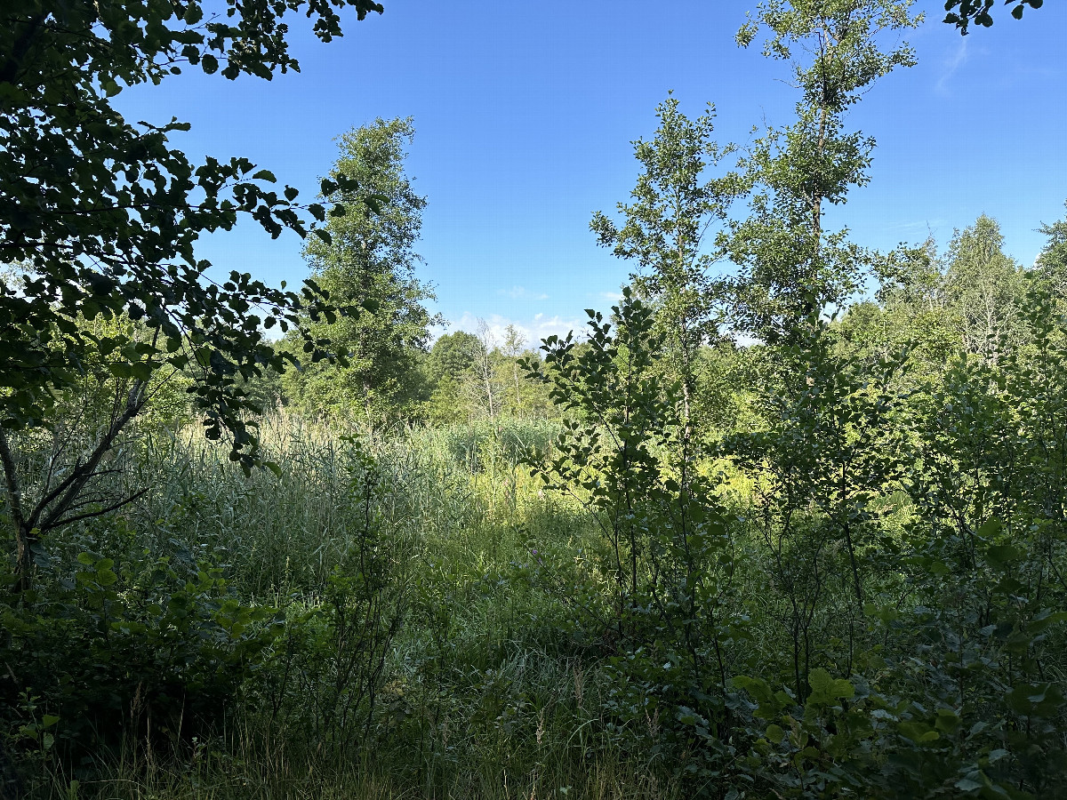 The Confluence from 10m Distance 