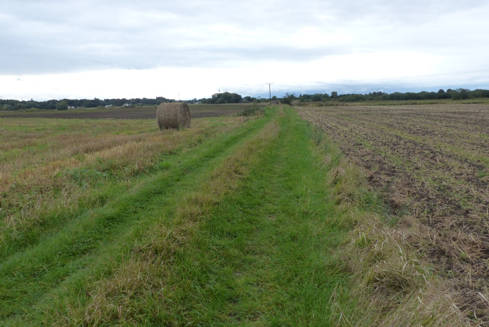 Droga pomiędzy polami / Road between fields