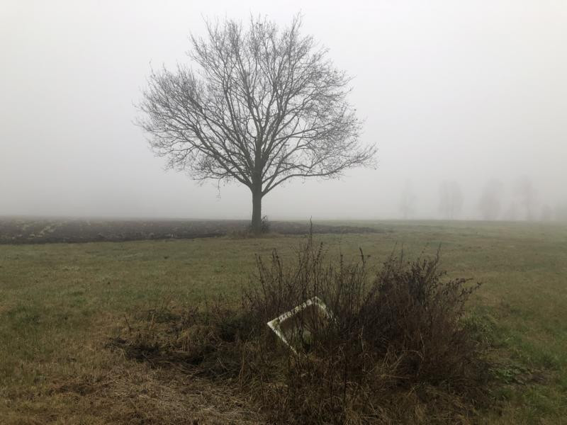 Near CP / Nahe des CP