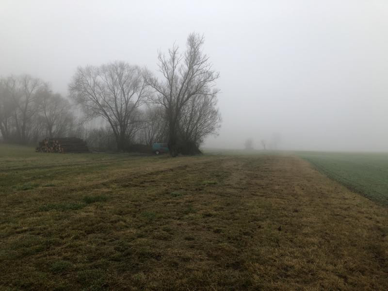 End of the path / Wegende