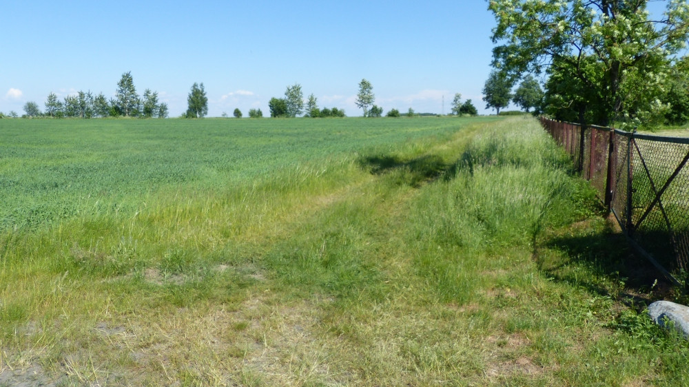 The Confluence from 50 m Distance