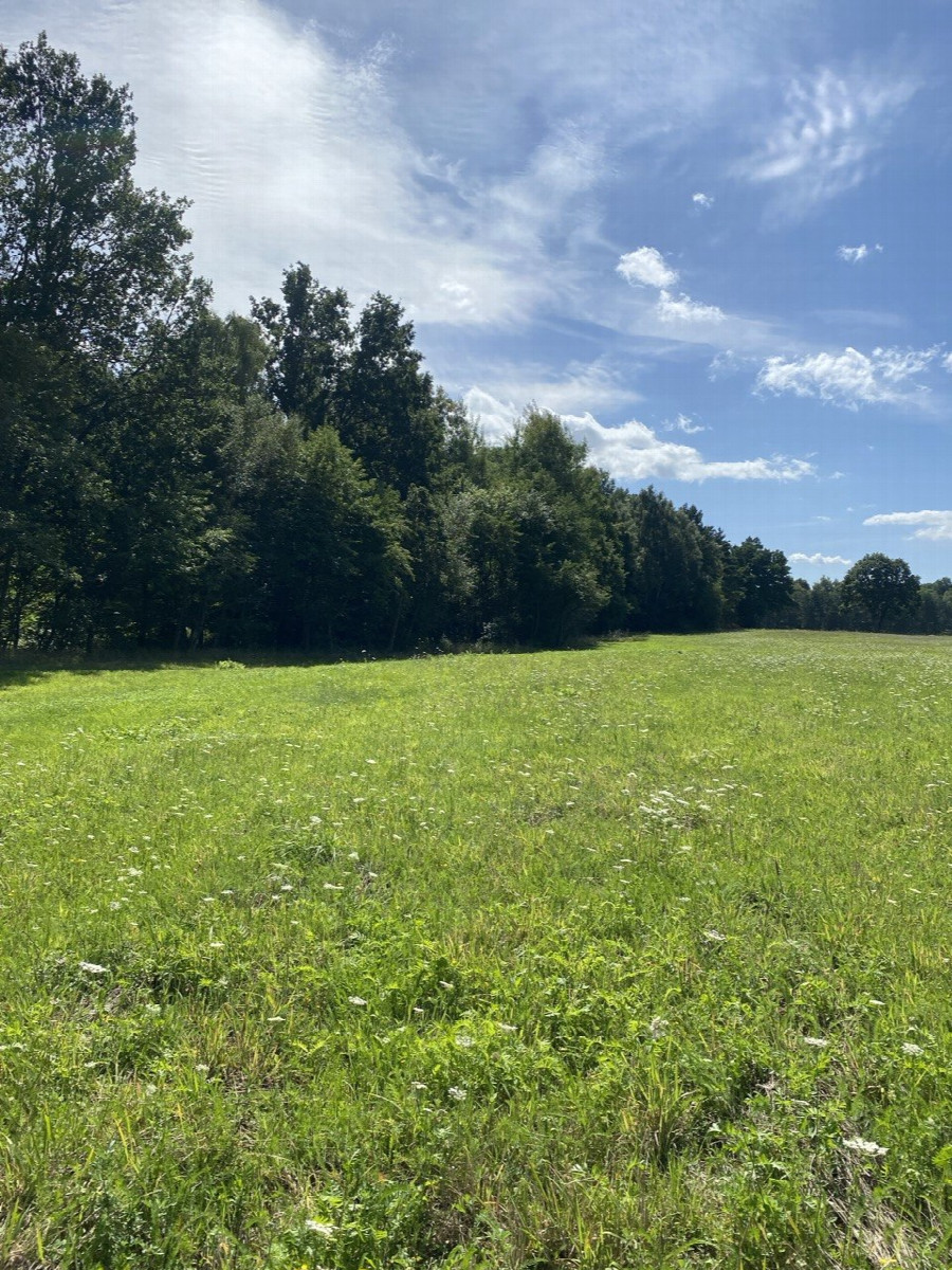 View to the south