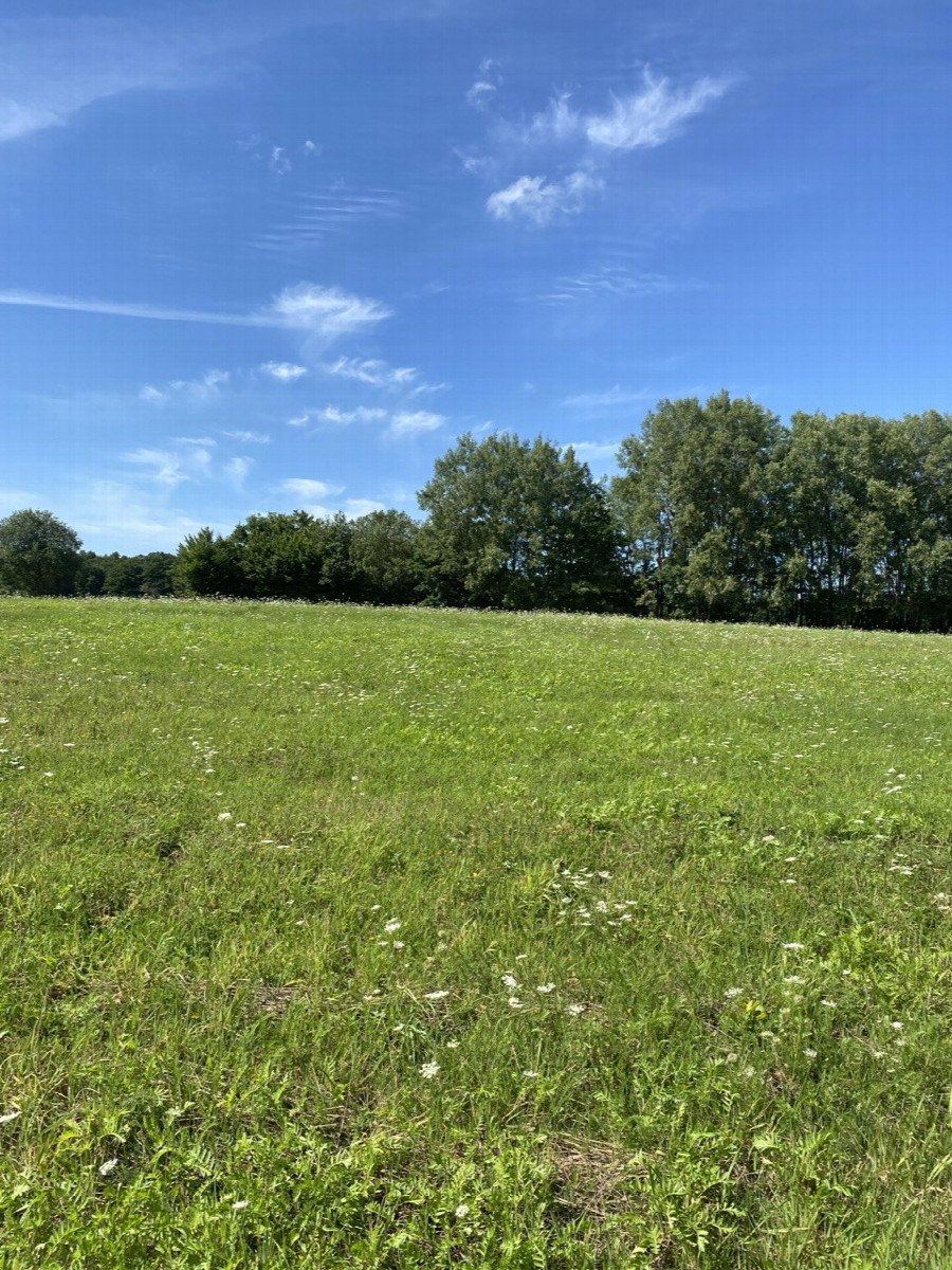 Veiw to the west