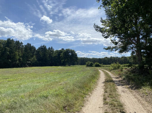 #1: Road next to the meadow with the CP