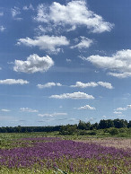#7: Landscape on the way back