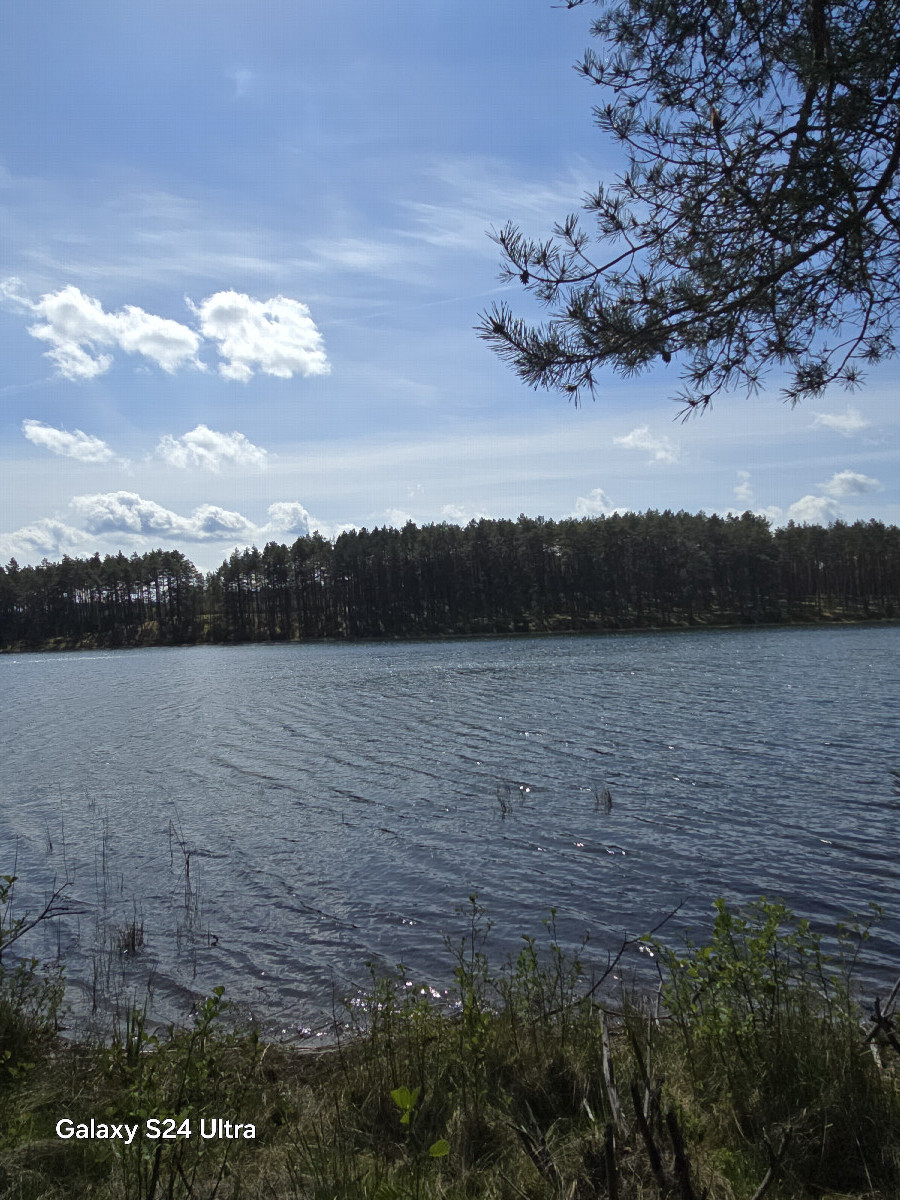 View South