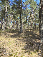 #2: View North