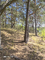 #3: View East