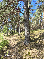 #5: View West