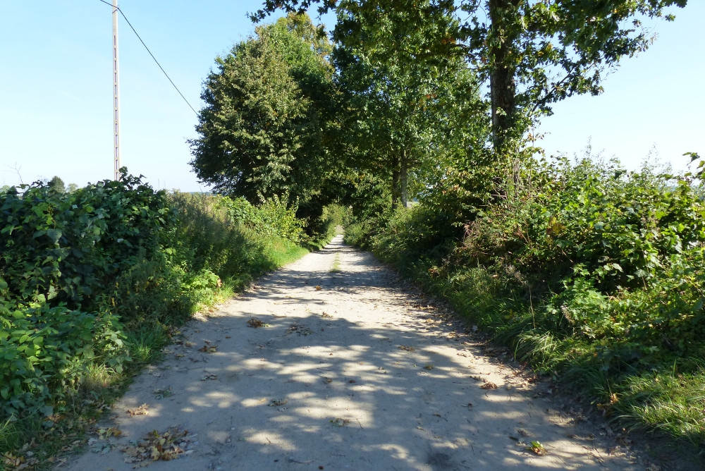 Droga dojazdowa pod górę i ze stromymi brzegami / he access road is uphill and has steep banks