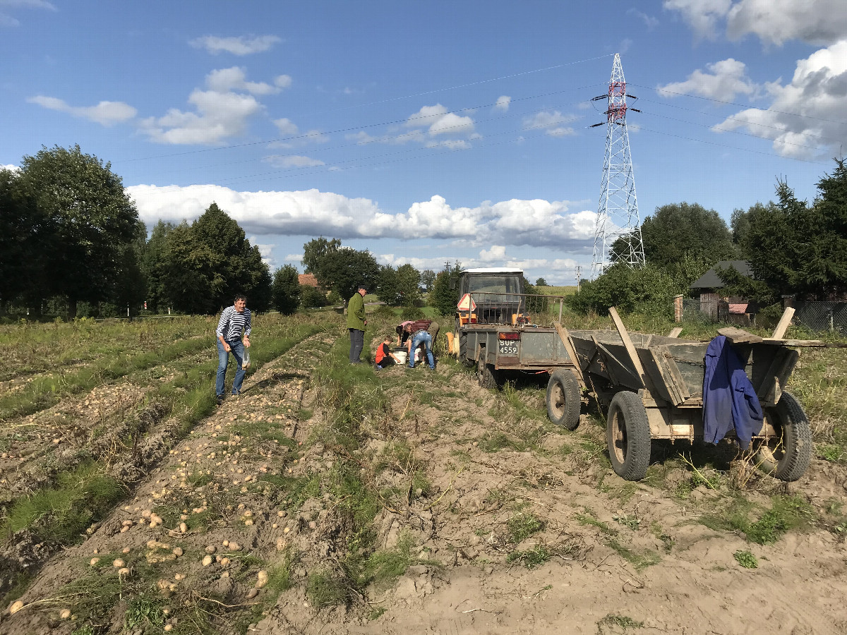 beim Bauern / At the farmer's