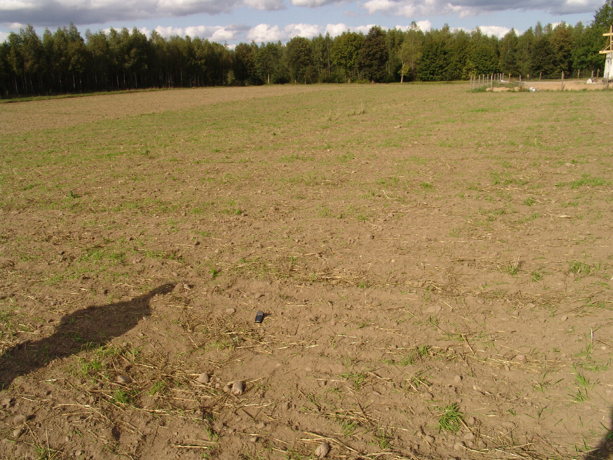 der Confluence Punkt (nach Nord) / General view (to the north)