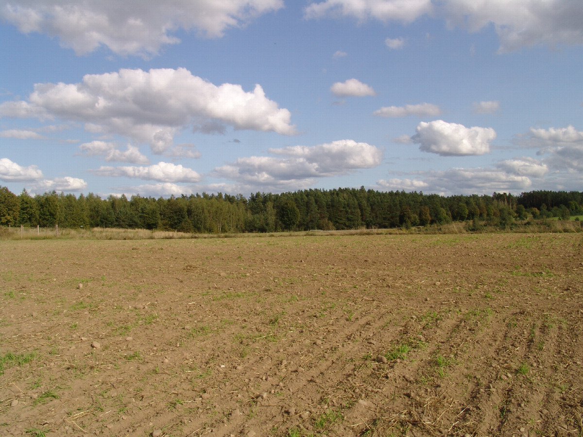 Blick nach Osten / East view