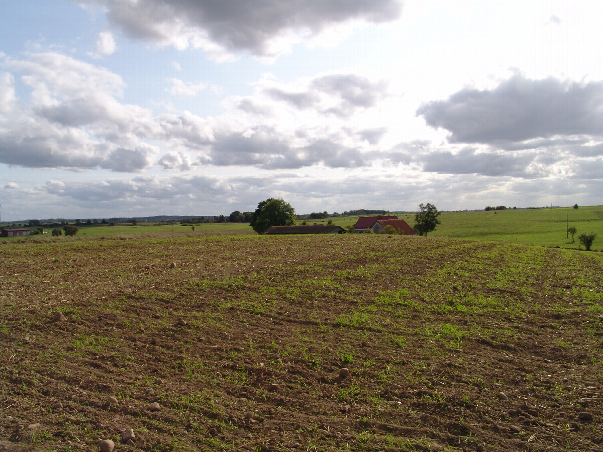 Blick nach Süden / South view