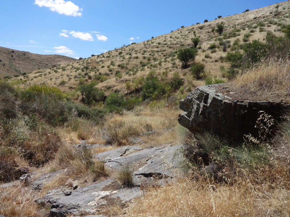 Rock near the dried stream / Скальный выход у пересохшего ручья
