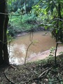 #9: The river near the confluence point