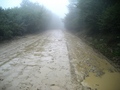 #8: Road to confluence.
