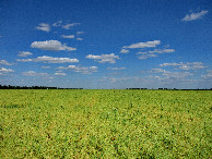 #2: East view