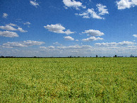 #3: South view