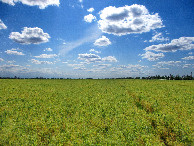 #4: West view