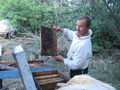 #7: Beekeepers