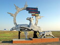 #9: Kalmykiya border monument