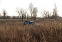 #7: Car in the grass