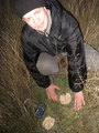 #8: Toadstools have been found