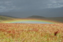 #8: Rainbow / Под нами радуга