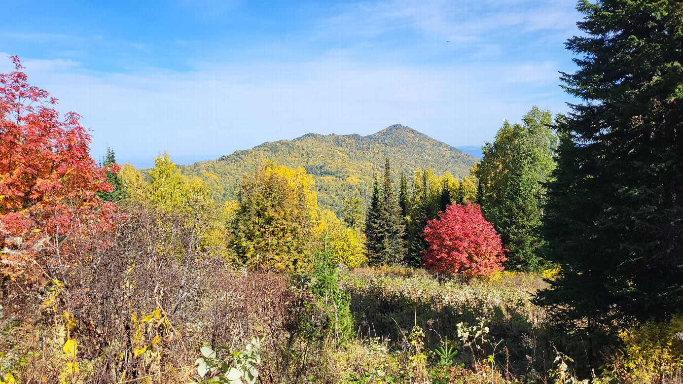 View 2 from Health trail / вид с тропы здоровья 2