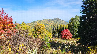 #12: View 2 from Health trail / вид с тропы здоровья 2