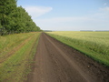 #7: Field dirt road, 500m from the CP
