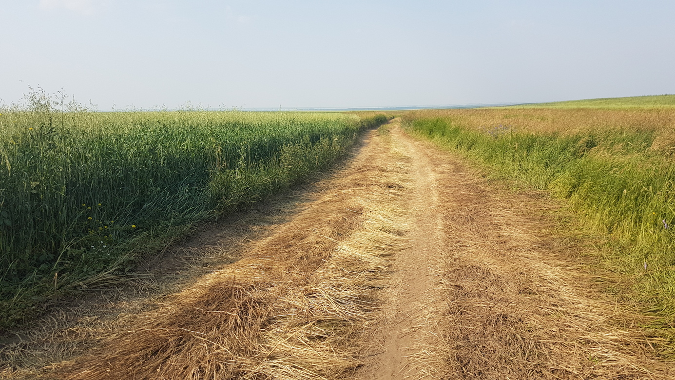 approach using a farm track