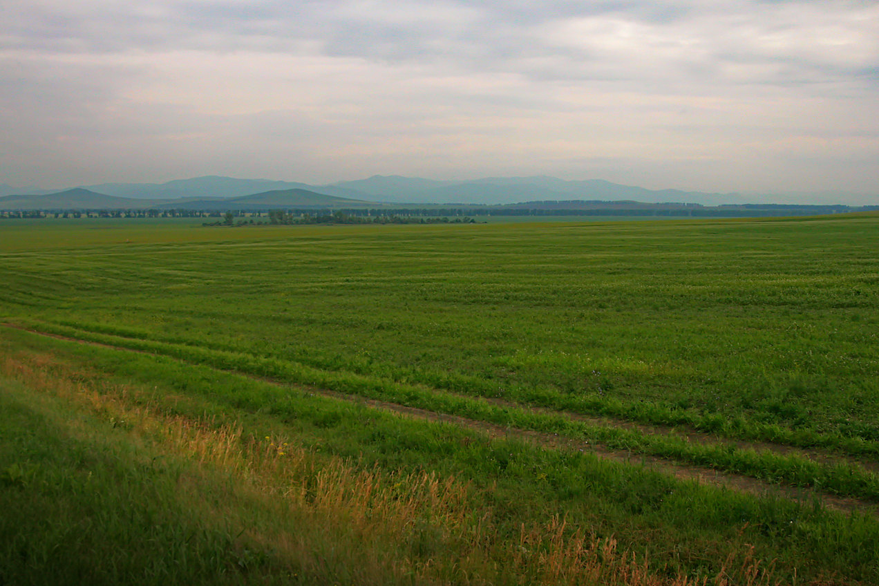 Biysk plain in front of Altai mountains
